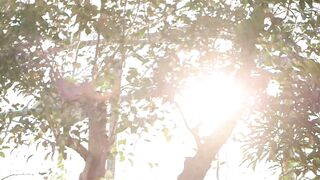 IPX-867 [无码中文字幕] 花恋老师的口交服务令人无法抗拒，我快要失去理智了…明明已有女友却在校内大胆为我口交的痴女教师 枫花恋