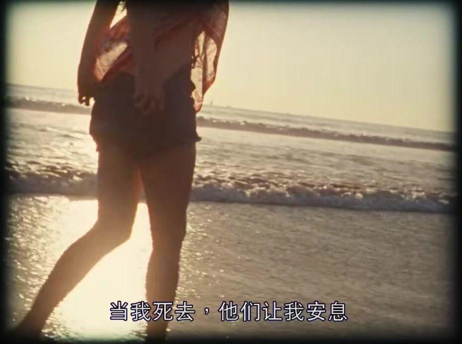 拉芙蕾丝 Lovelace 美国三级