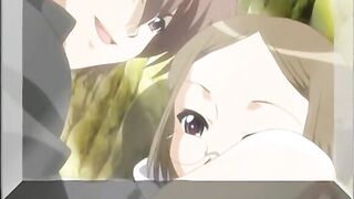Maple Colors 楓之彩 2