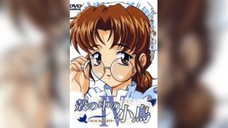殼中小鳥 4