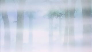 河原崎家的一族 2