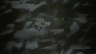 淫獸聖戰XX 1 魔王新生篇