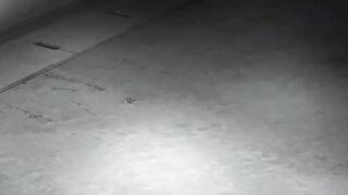 蠱惑之刻 4